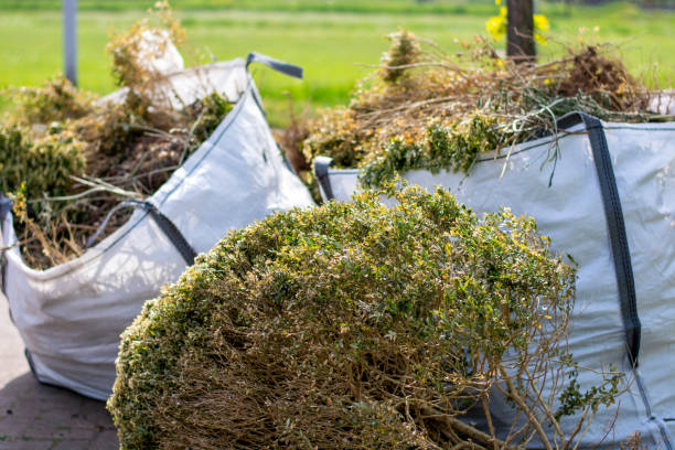 Full-Service Junk Removal in Massillon, OH